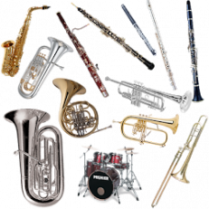 INSTRUMENTO ACCESO PRUEBA CONSERVATORIO